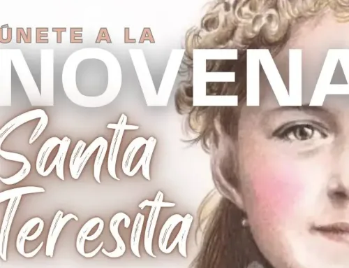 Novena Santa Teresita: Día 9