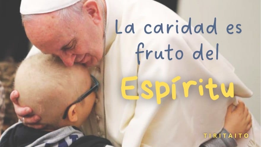 Papa Francisco